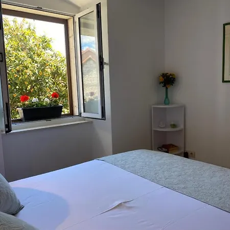 Apartmán Mediterano - Center *