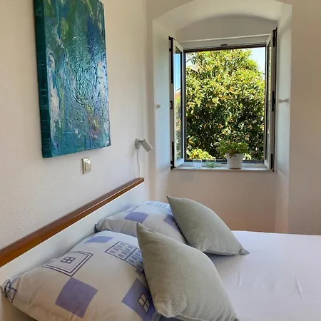 Apartmán Mediterano - Center