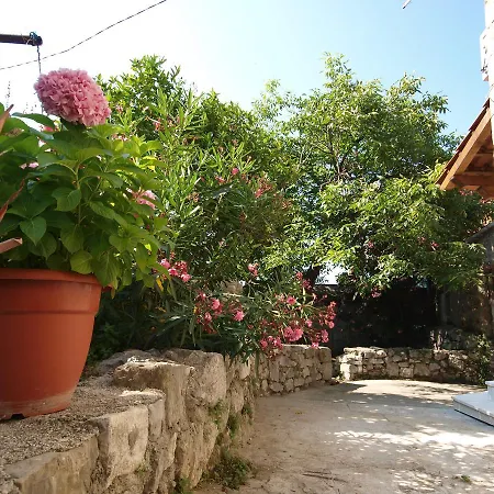 Mediterano - Center