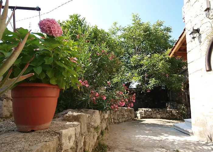 Mediterano - Center